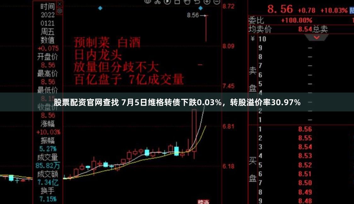 股票配资官网查找 7月5日维格转债下跌0.03%，转股溢价率30.97%