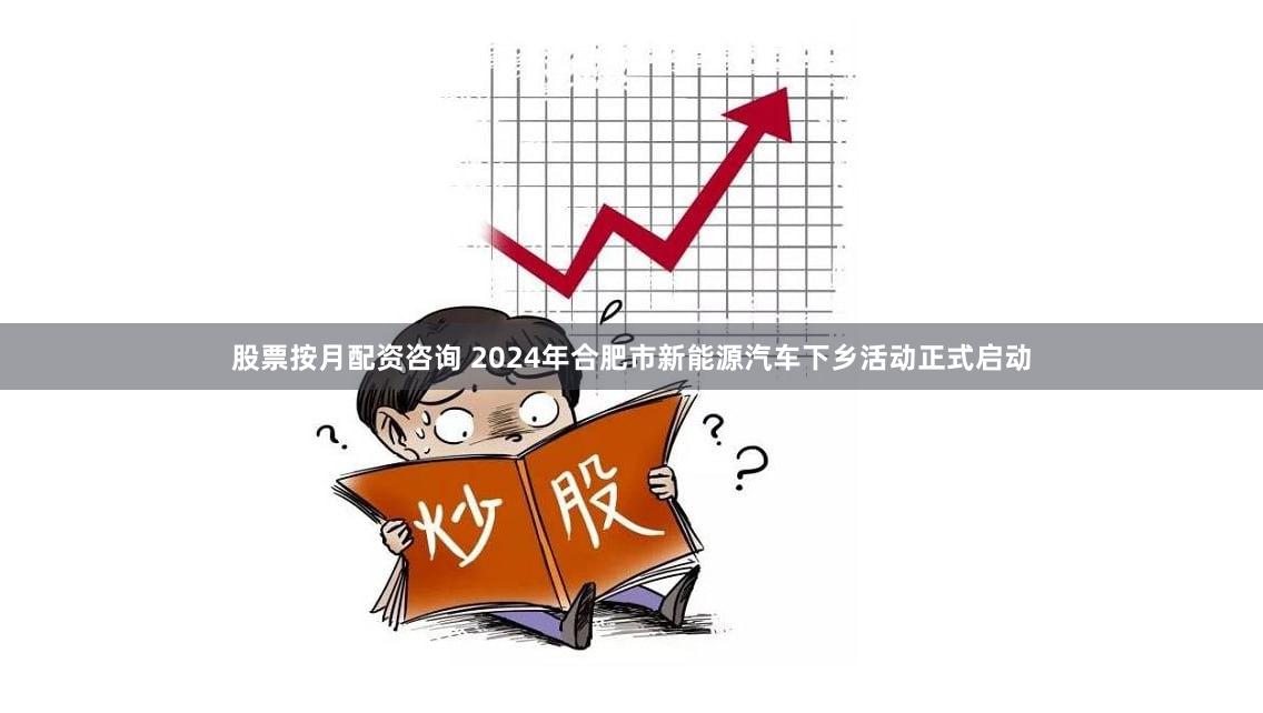 股票按月配资咨询 2024年合肥市新能源汽车下乡活动正式启动