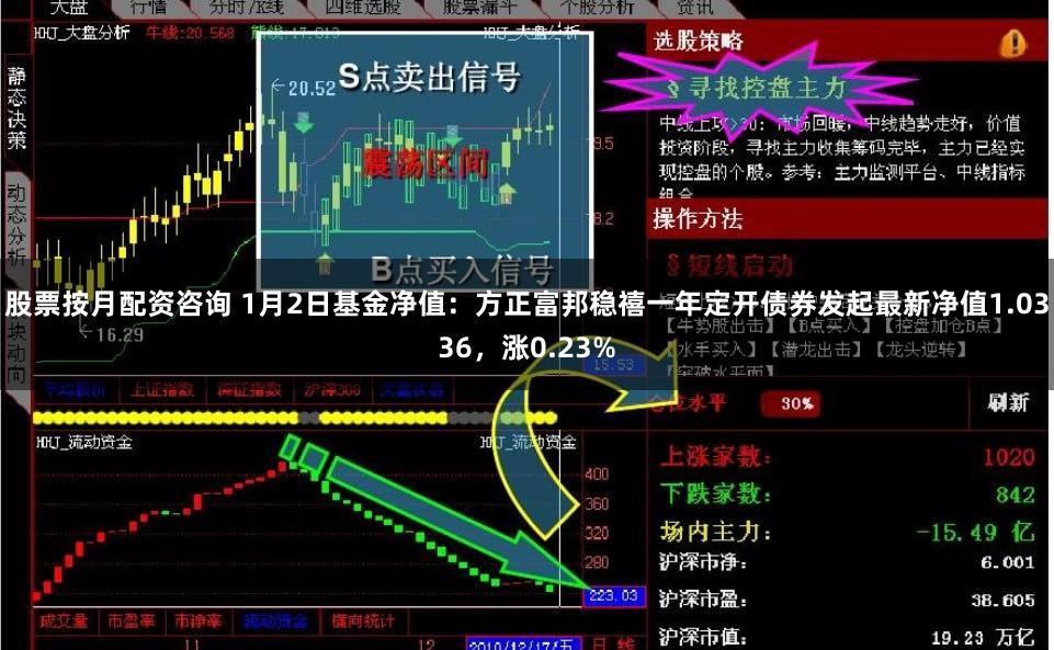 股票按月配资咨询 1月2日基金净值：方正富邦稳禧一年定开债券发起最新净值1.0336，涨0.23%
